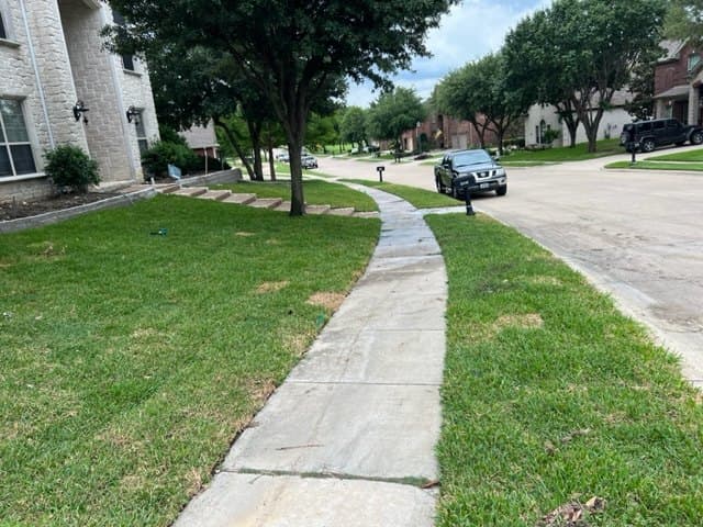 Edged walkway and turf on an exposed Lake Dallas lot