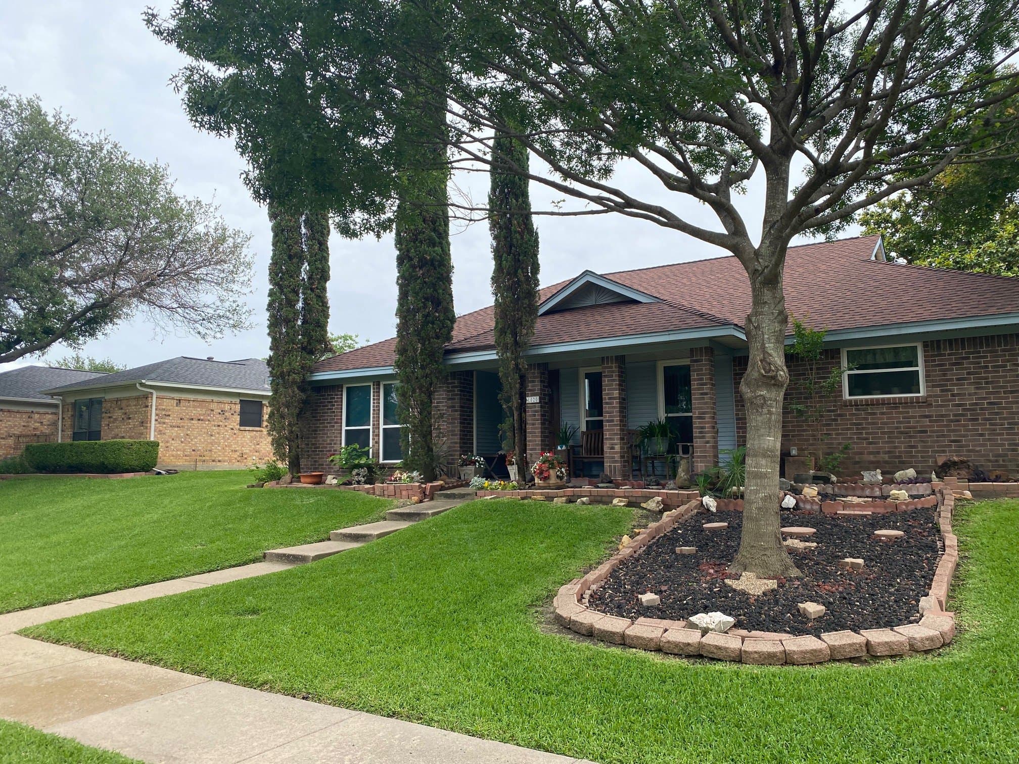Cut tree ring and edged turf under a mature shade tree in Plano