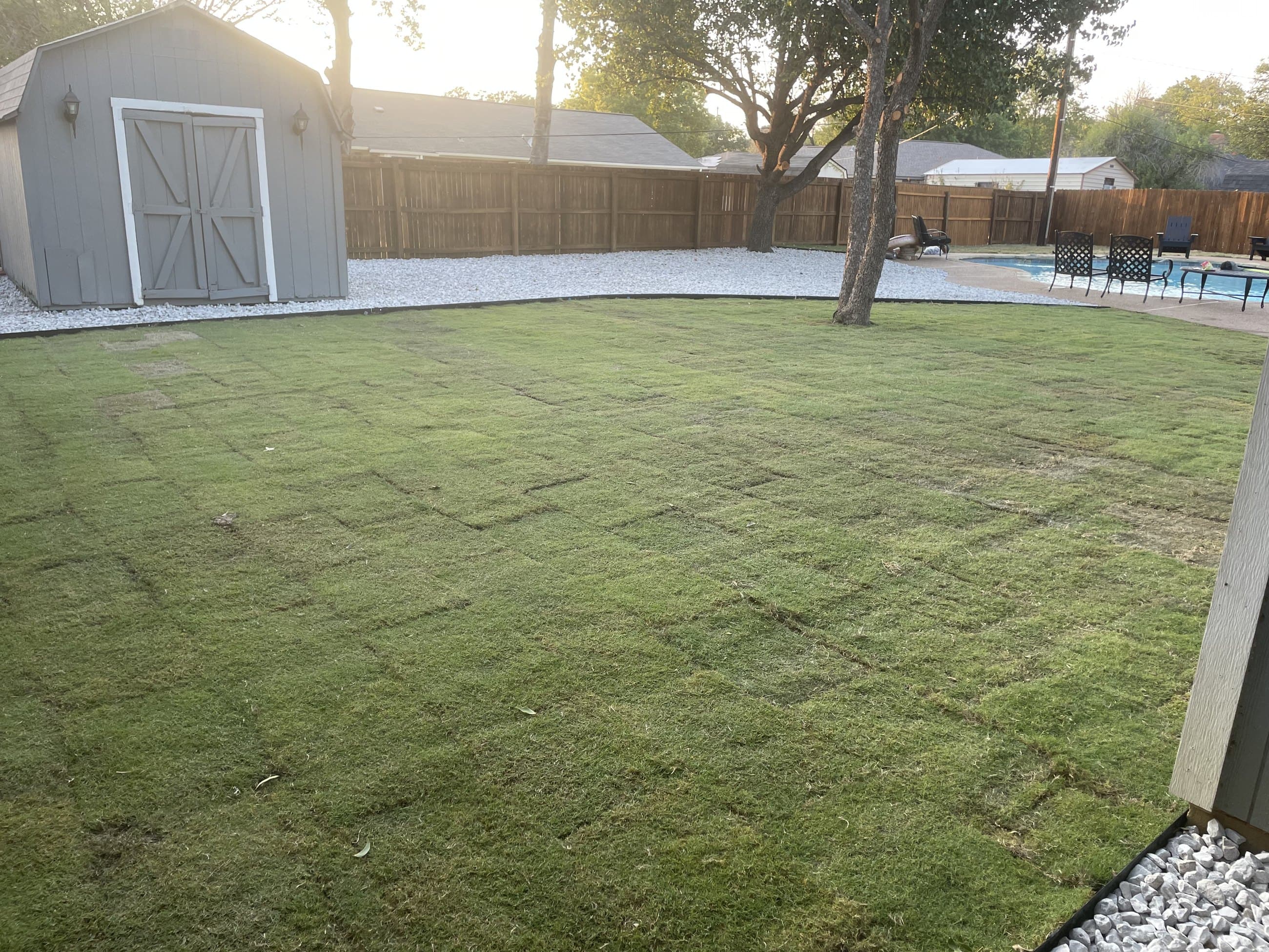 Fresh sod laid and rolled across a backyard